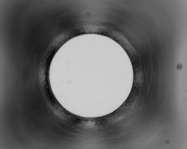 X0000103930687200810311517