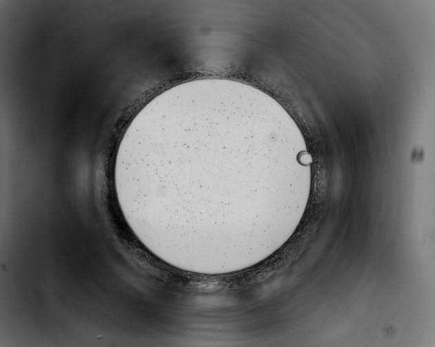 X0000103930688200810311517