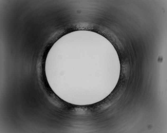 X0000103930690200810311517