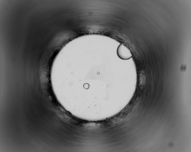 X0000103930691200810311517
