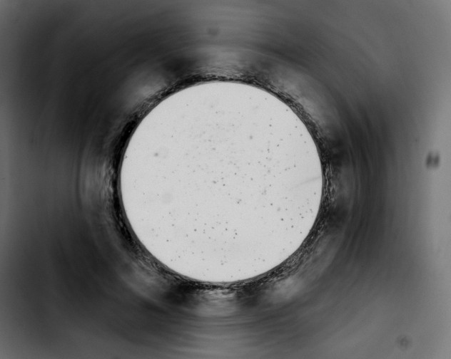 X0000103930692200810311517