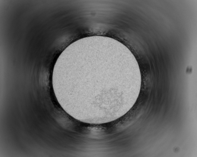 X0000103930693200810311517