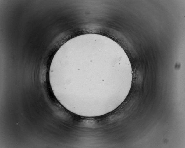 X0000103930694200810311517