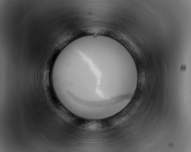 X0000103930696200810311517