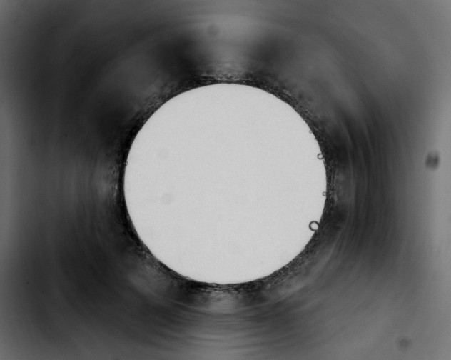 X0000103930697200810311517