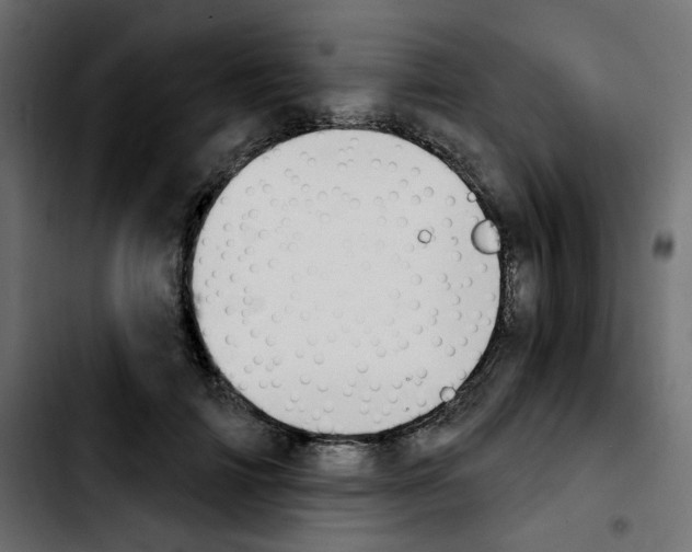 X0000103930698200810311517