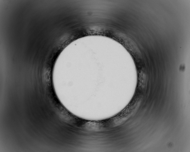 X0000103930699200810311517