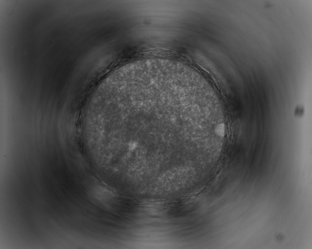 X0000103930701200810311517