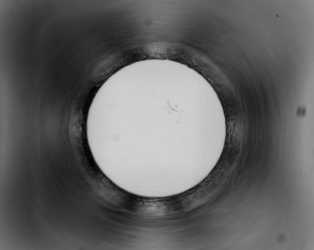 X0000103930702200810311517