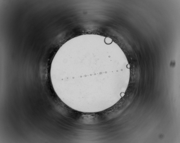 X0000103930703200810311517