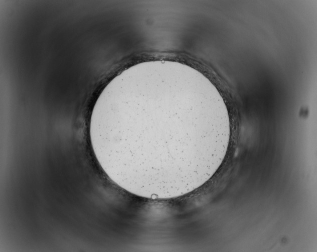 X0000103930704200810311517