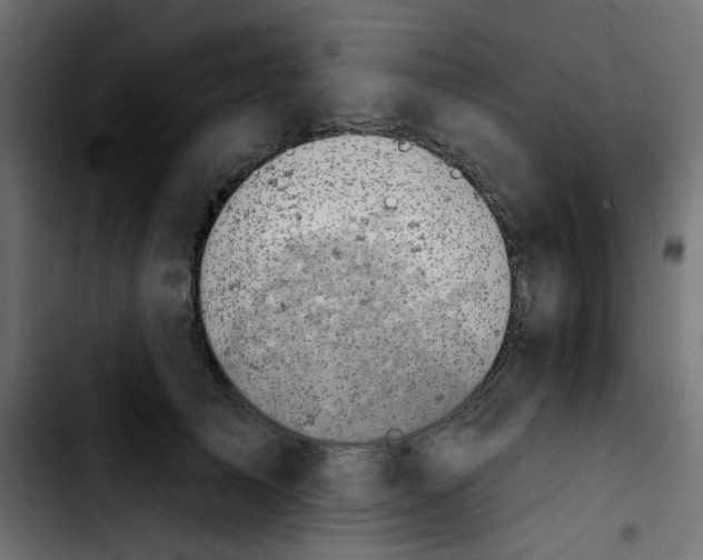 X0000103930705200810311517
