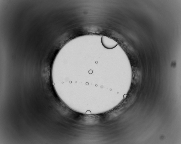 X0000103930707200810311517