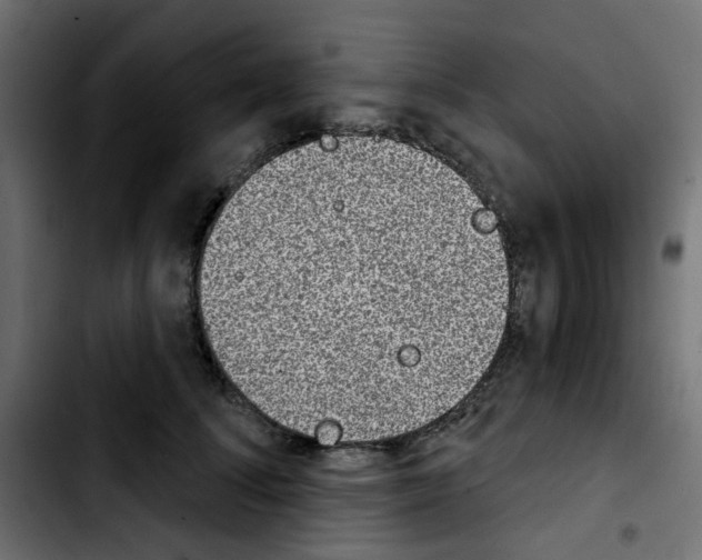 X0000103930708200810311517