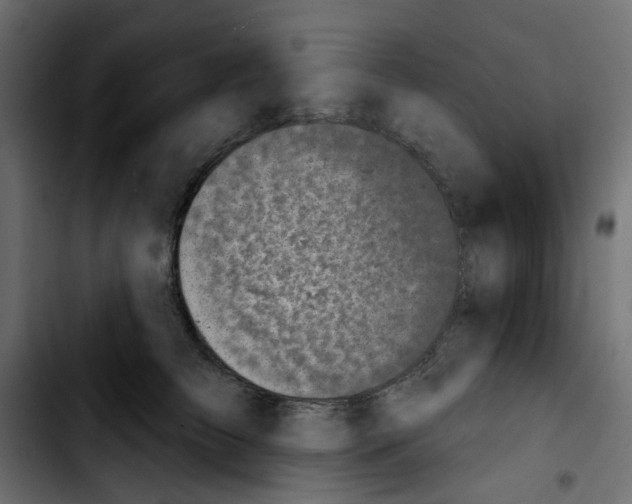 X0000103930709200810311517