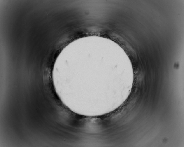 X0000103930711200810311517