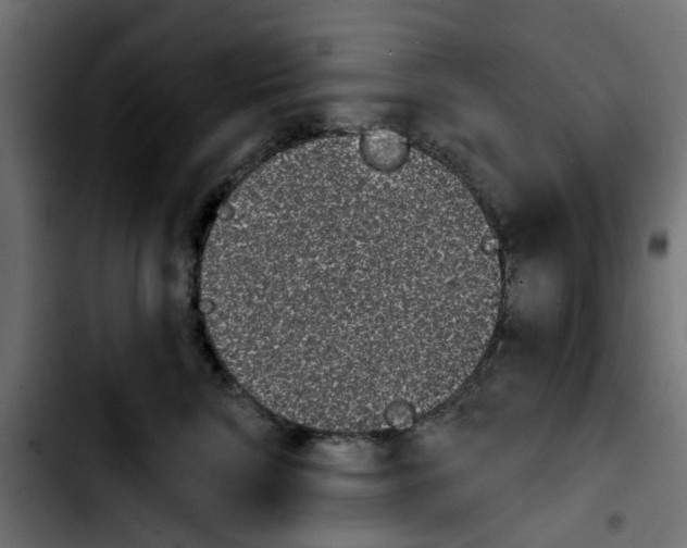 X0000103930712200810311517