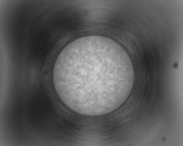X0000103930713200810311517