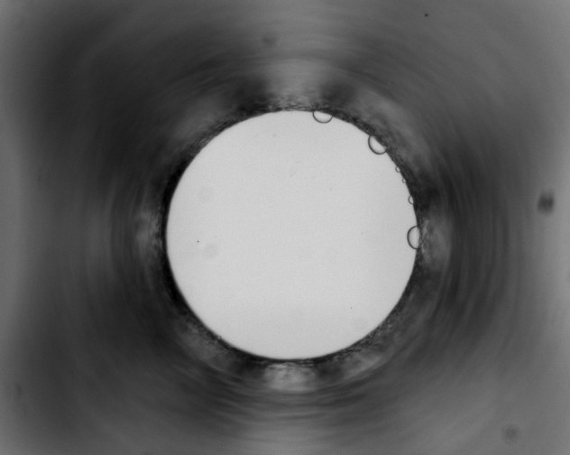 X0000103930714200810311517