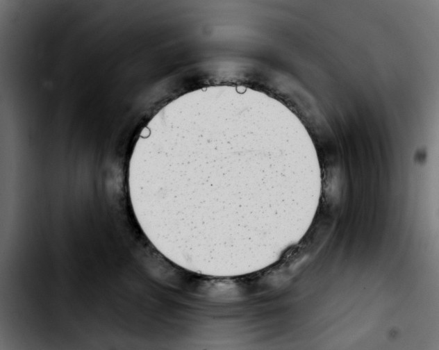 X0000103930715200810311517