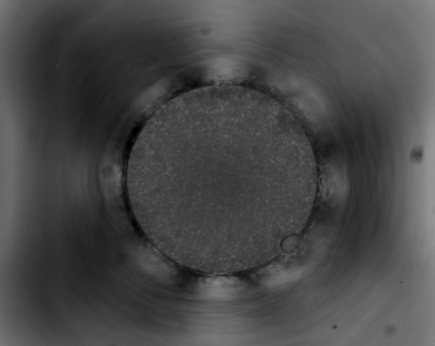 X0000103930716200810311517