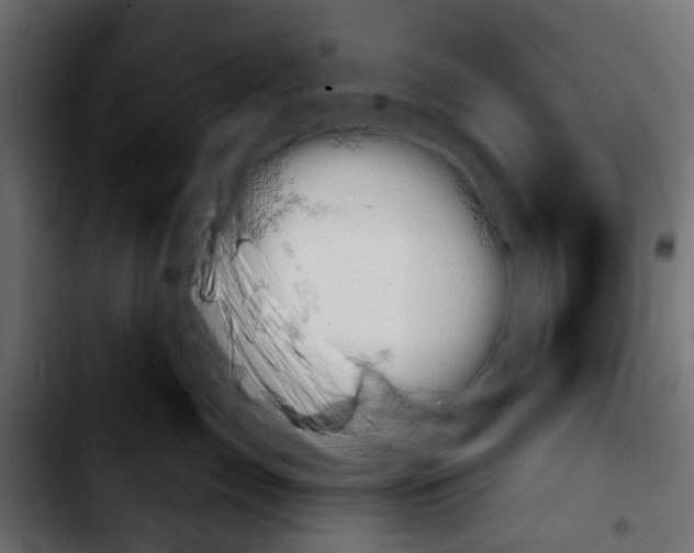 X0000103930717200810311517