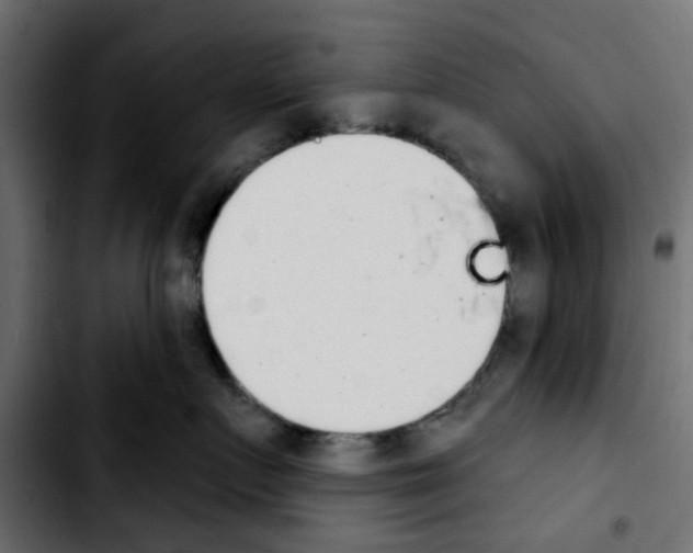 X0000103930719200810311517