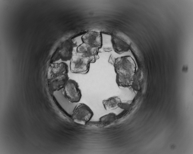 X0000103930721200810311516