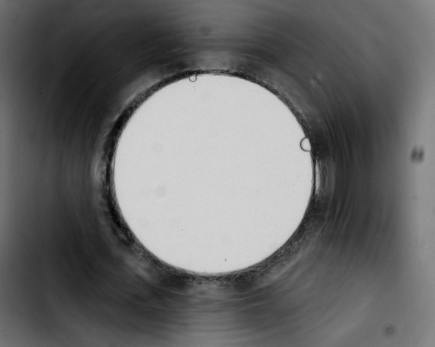 X0000103930723200810311516