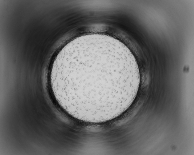 X0000103930725200810311516