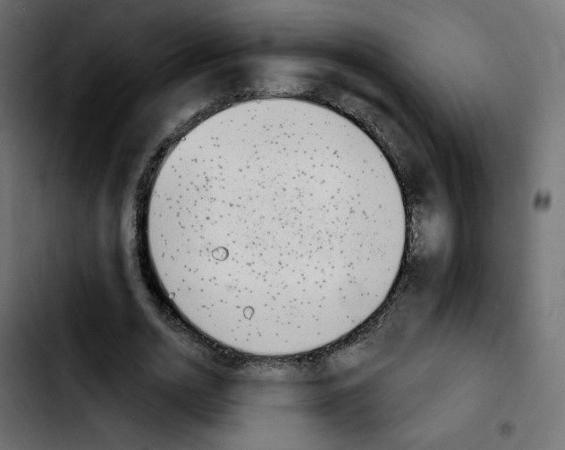 X0000103930726200810311516