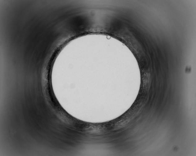 X0000103930727200810311516