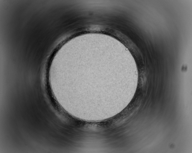 X0000103930728200810311516