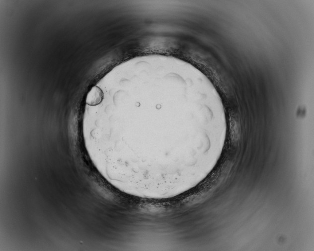 X0000103930729200810311516