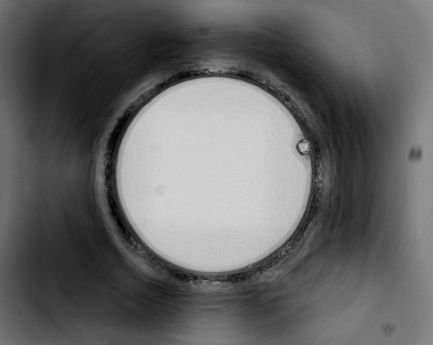 X0000103930730200810311516