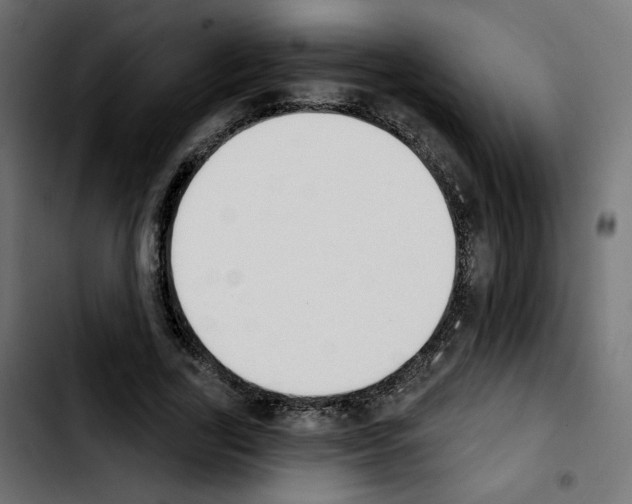 X0000103930731200810311516