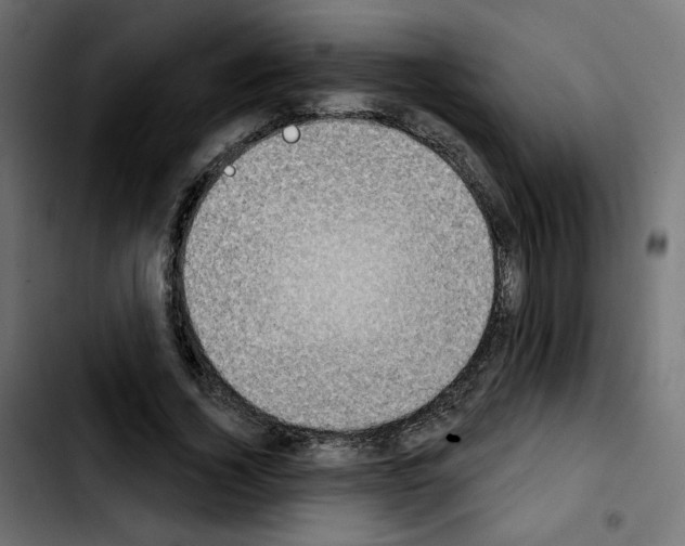 X0000103930732200810311516