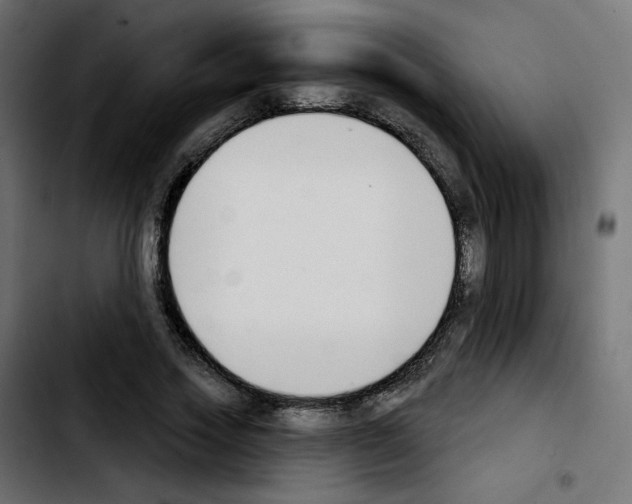 X0000103930733200810311516