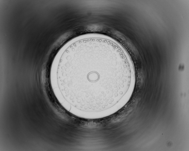 X0000103930734200810311516