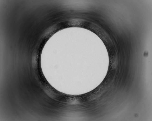 X0000103930735200810311516