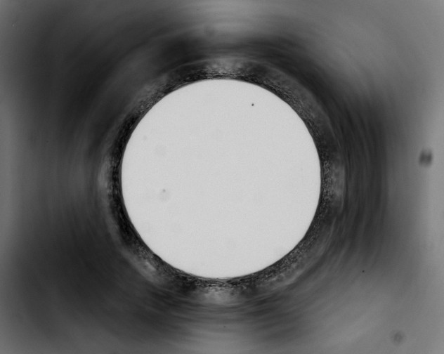 X0000103930738200810311516