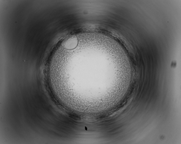 X0000103930739200810311516