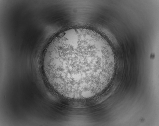 X0000103930740200810311517
