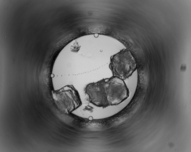 X0000103930741200810311517