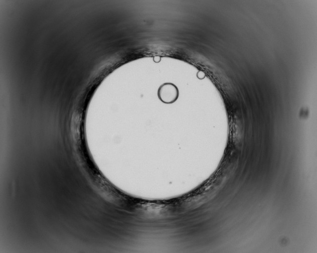 X0000103930742200810311517