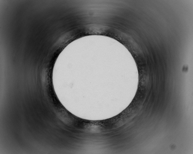 X0000103930743200810311517