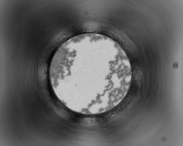 X0000103930744200810311517