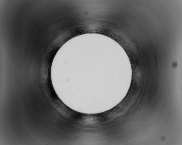 X0000103930746200810311517