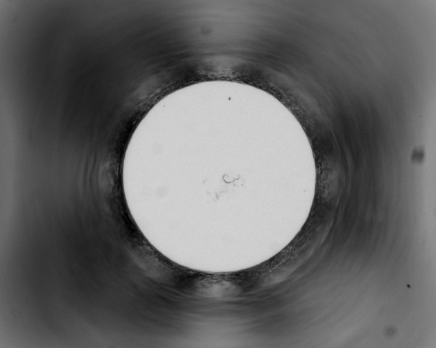 X0000103930747200810311517