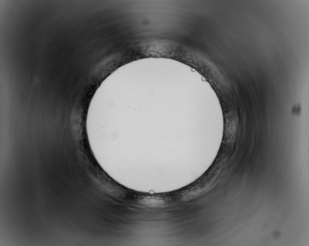 X0000103930749200810311517